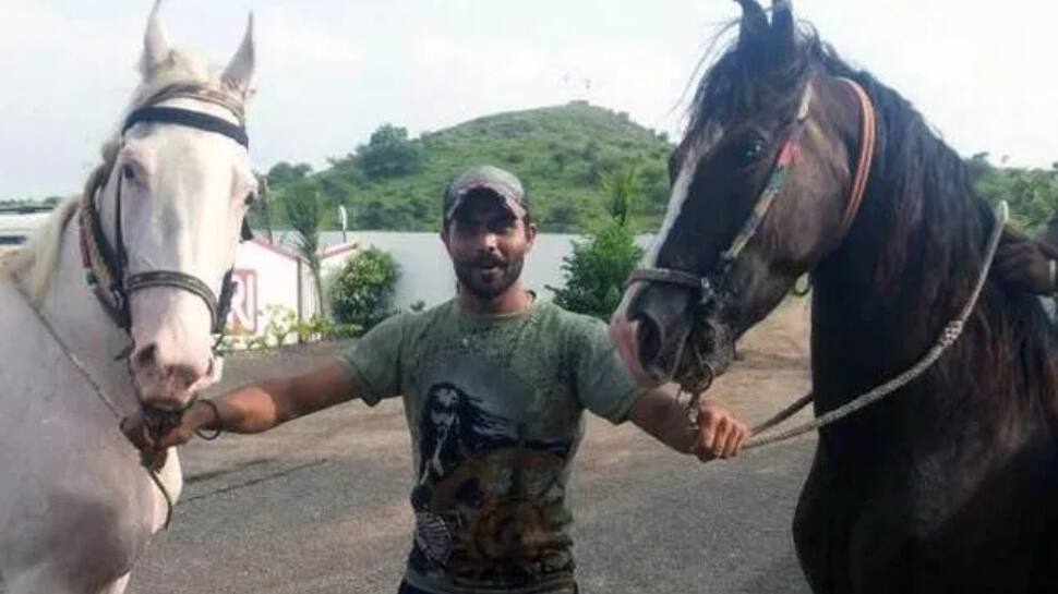 Notable Horses - Ganga & Kesar Notable Horses - Ganga & Kesar