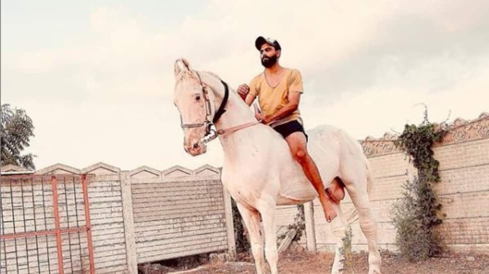 Notable Horses - Lalbeer Notable Horses - Lalbeer