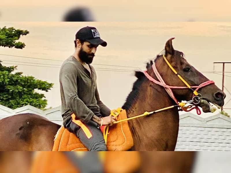 Inside Ravindra Jadeja’s Horse Collection: A Glimpse Into His ...