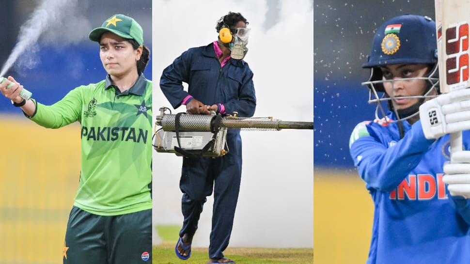 Insects Stop Play ! India vs Pakistan Women's ODI World Cup 2025 Match In Colombo Witness Bizarre Interruption