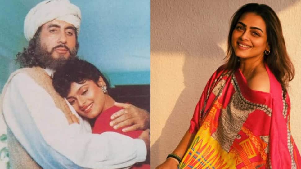 Shilpa Shirodkar Reveals She Secretly Wanted to Marry Amitabh Bachchan, Calls Him Her Idol