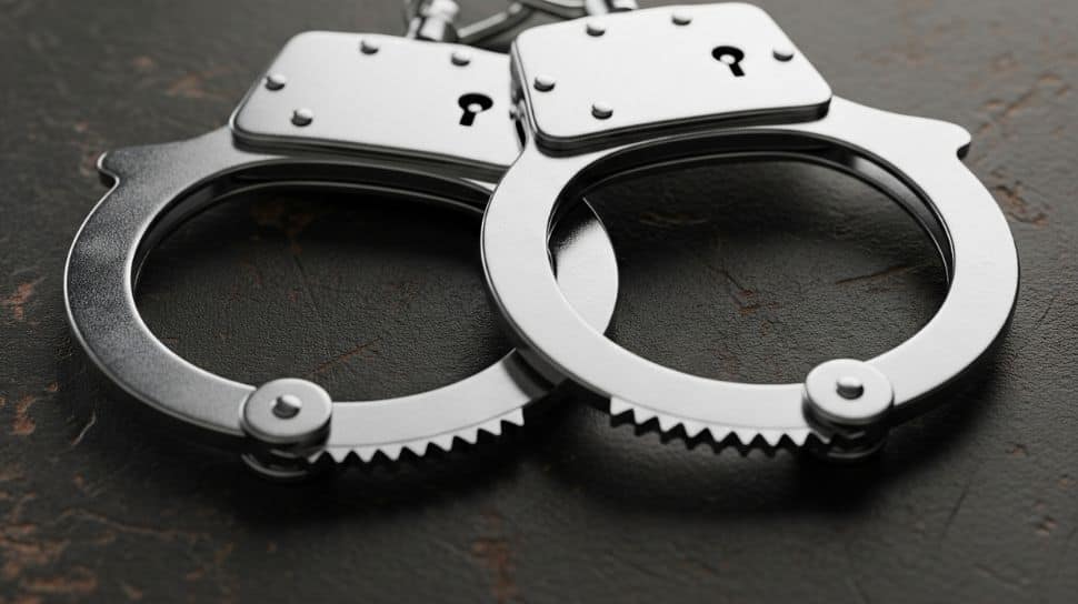 BSF Arrests Smuggler With 20 Gold Biscuits Worth Rs 2.82 Crore In West Bengal