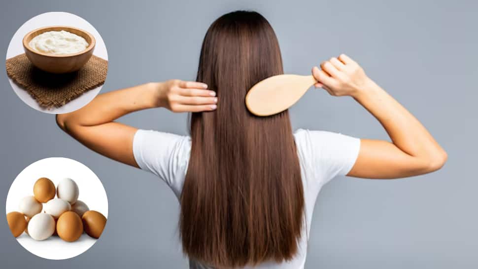 Curd vs Egg For Hair Growth 2025: Which Natural Ingredient Nourishes, Strengthens, And Boosts Hair The Best?