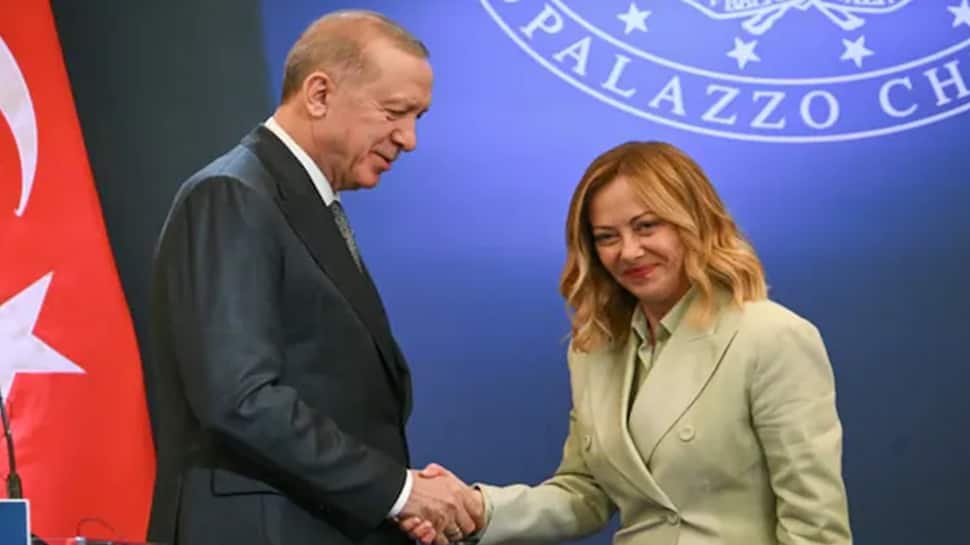 'You Look Great, But Stop Smoking’: Erdogan Jokes With Italy’s Meloni