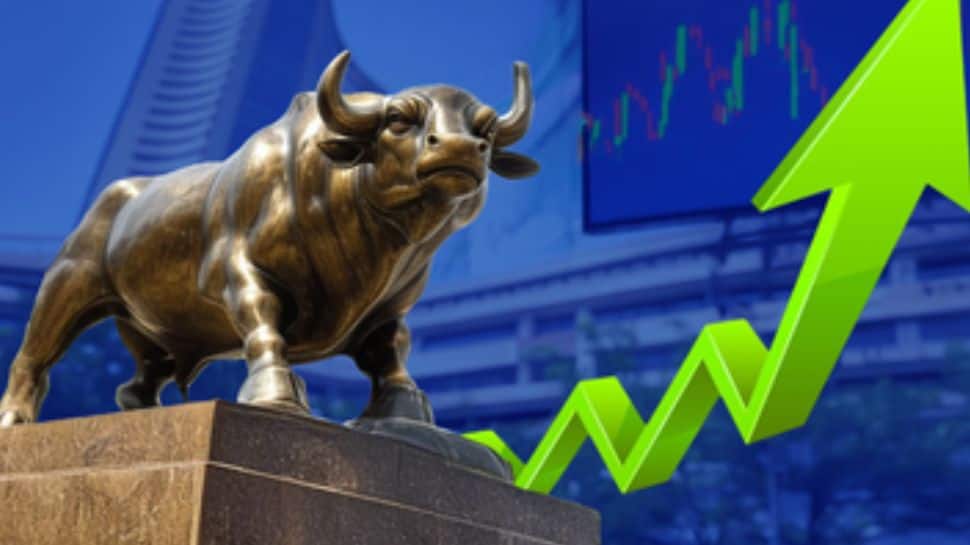 DIIs Pump Record Rs 6 Lakh Crore In Indian Stocks in 2025