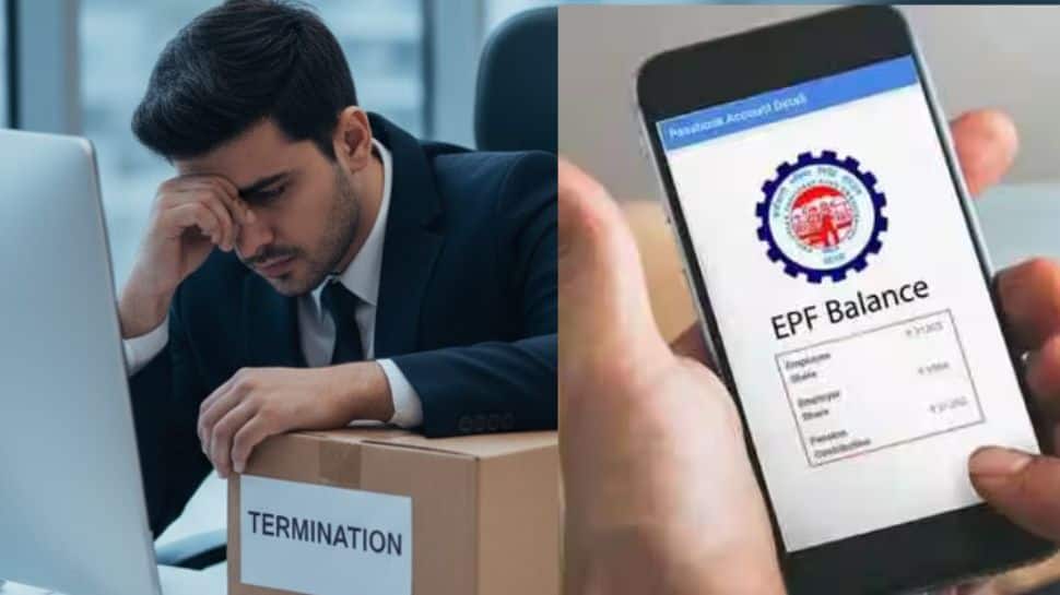 Lost Your Job? Here’s How Much PF You Can Now Withdraw Under New EPFO Rules