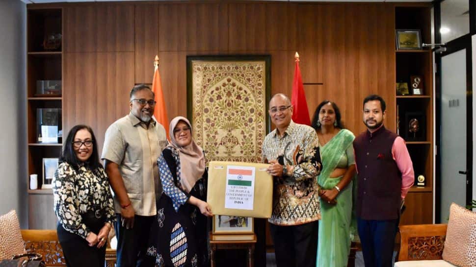 India Sends Anti-Radiation Medicines To Indonesia Amid Cesium-137 Scare