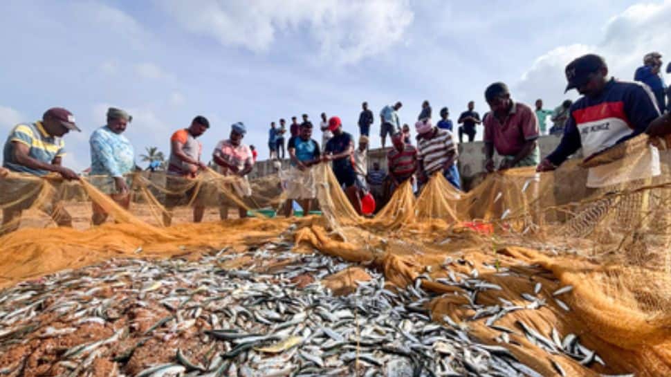India-UK Trade Deal To Increase Seafood Exports: MPEDA India-UK Trade Deal To Increase Seafood Exports: MPEDA