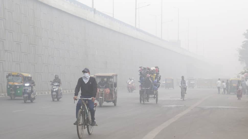 Zee News - Environment - News Image