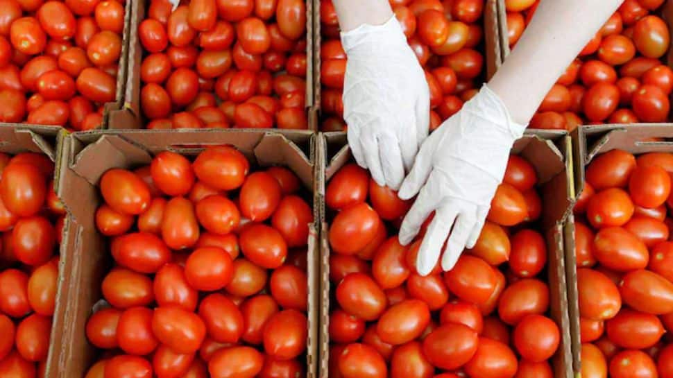 Pakistan: Why A Kilo Of Tomato Now Cost 700 Rupees, Even More Than Chicken
