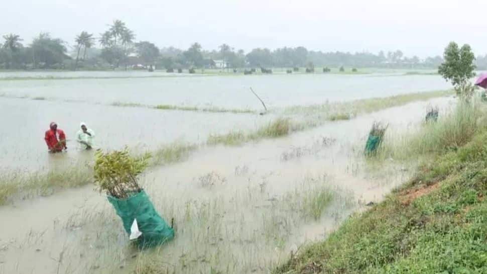 TN BJP, NTK Demand Immediate Relief For Flood-Hit Delta Farmers From Stalin Govt