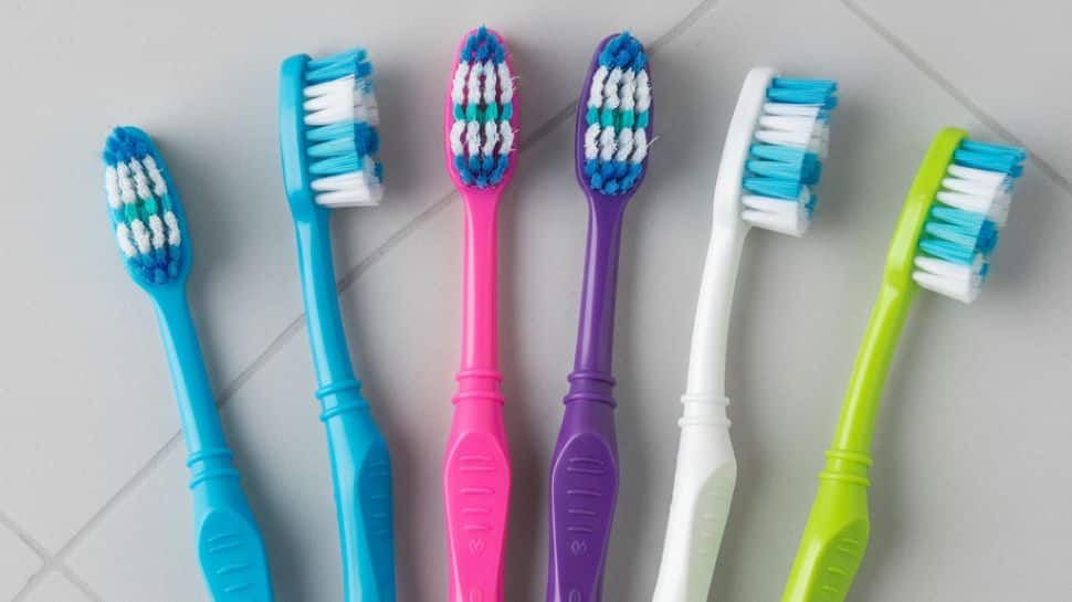 Horror In Your Bathroom: The Deadly Truth About What`s Living On Your Toothbrush Will Make You Scream!