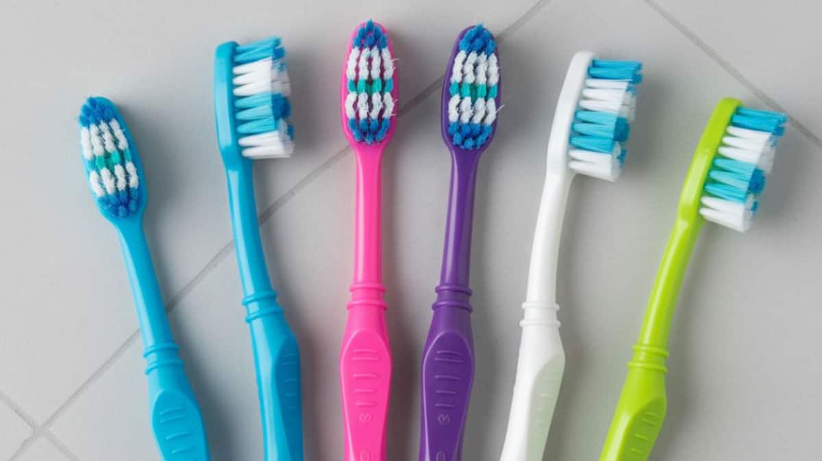 Choque no Banheiro: A Verdade Mortal Sobre o Que Vive na Sua Escova de Dentes Vai Te Chocar!