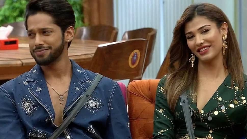 Bigg Boss 19 Double Eviction