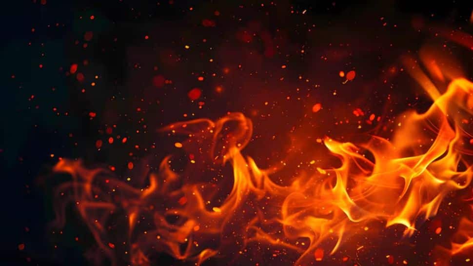 Jaipur Tragedy: Two Labourers Dead, 12 Injured After Bus Catches Fire In Manoharpur
