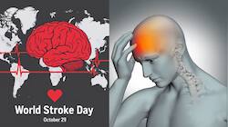 World Stroke Day: Experts Reveal Early Warning Signs You Should Never Ignore