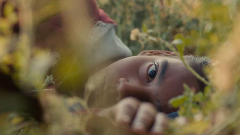 Humans In The Loop On OTT: When And Where To Watch Aranya Sahay-Directorial