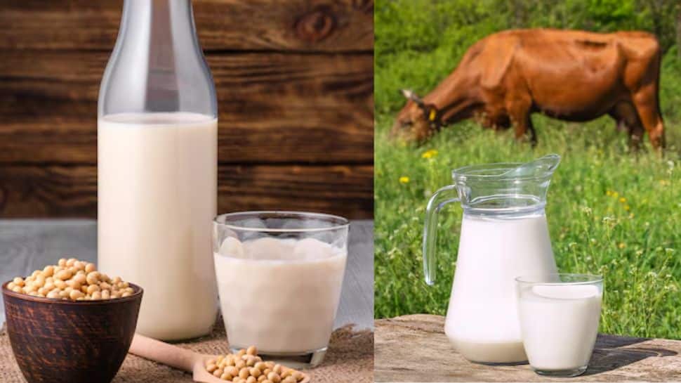 Is Soy Milk Healthier Than Cow Milk? Check Detailed Analysis Of Nutrition, Health Benefits, Taste And Versatility Is Soy Milk Healthier Than Cow Milk? Check Detailed Analysis Of Nutrition, Health Benefits, Taste And Versatility