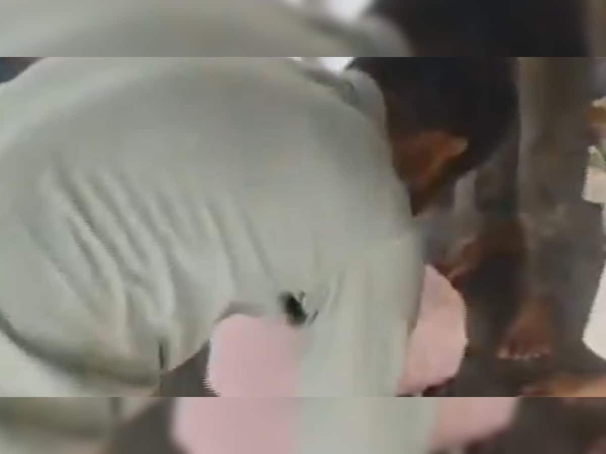 Andhra Pradesh Temple Stampede Tragedy: Chaos And Panic Captured On Footage