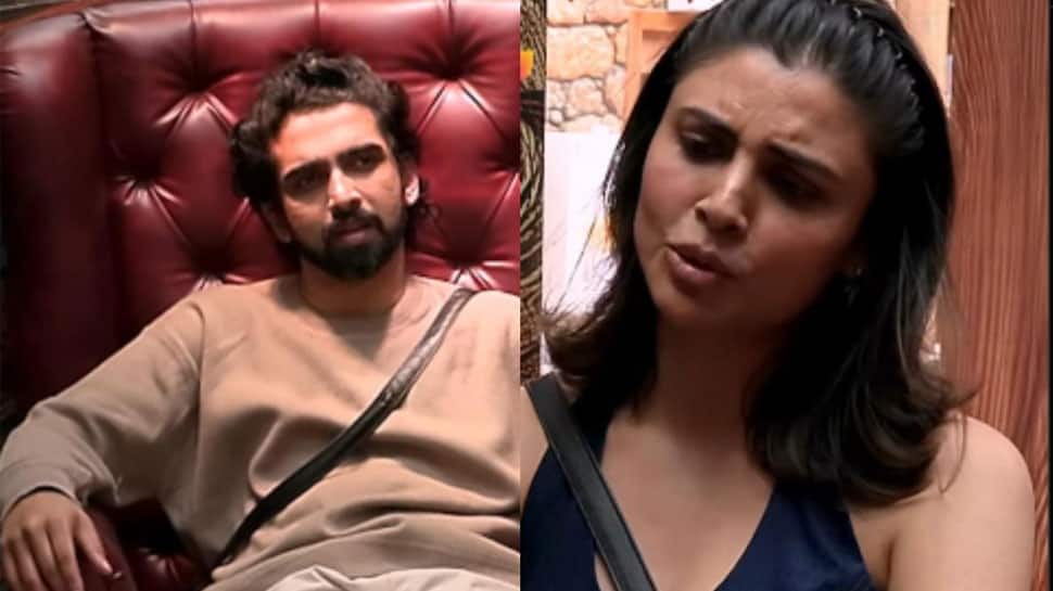 Bigg Boss 19 Day 71 Highlights: Malti Chahar Confronts Amaal Malik About Their 'Past', Neelam Feels Tanya Mittal 'Likes' Singer
