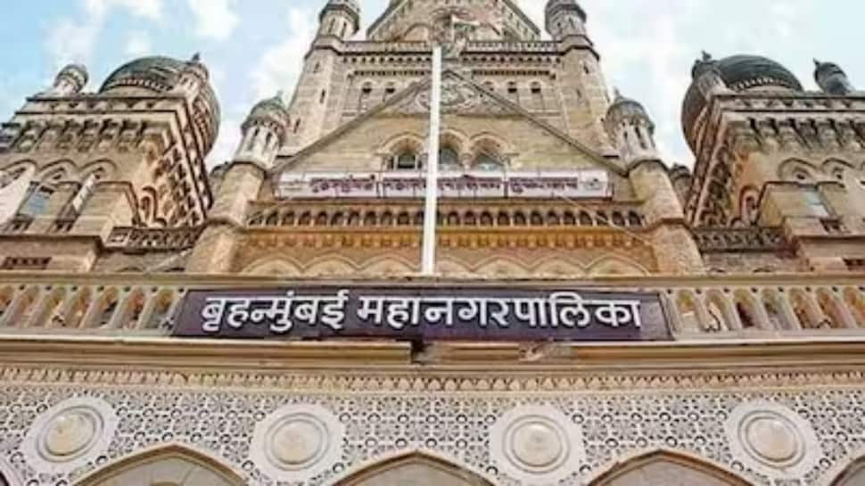 Maharashtra Poll 2025: BMC, Local Body Election Dates Expected In SEC Press Conference Today