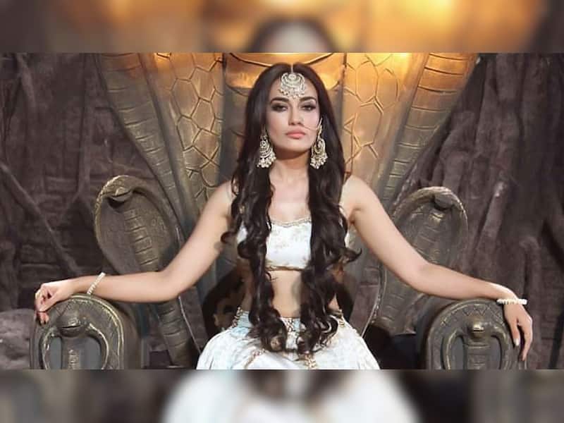 Surbhi Jyoti's Naagin 3 Fee
