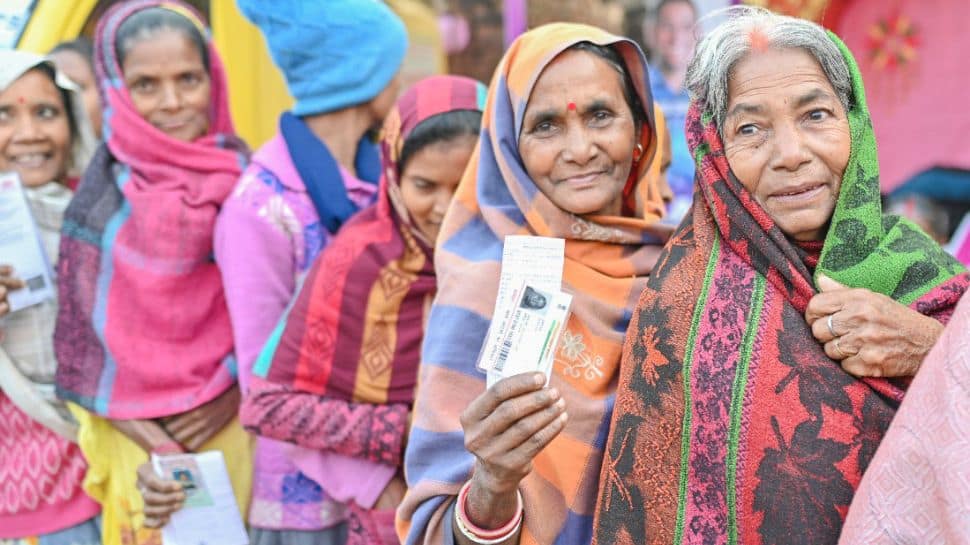 How To Download Voter ID Card: Check Step By Step Guide To Get Your Id`s Downloaded