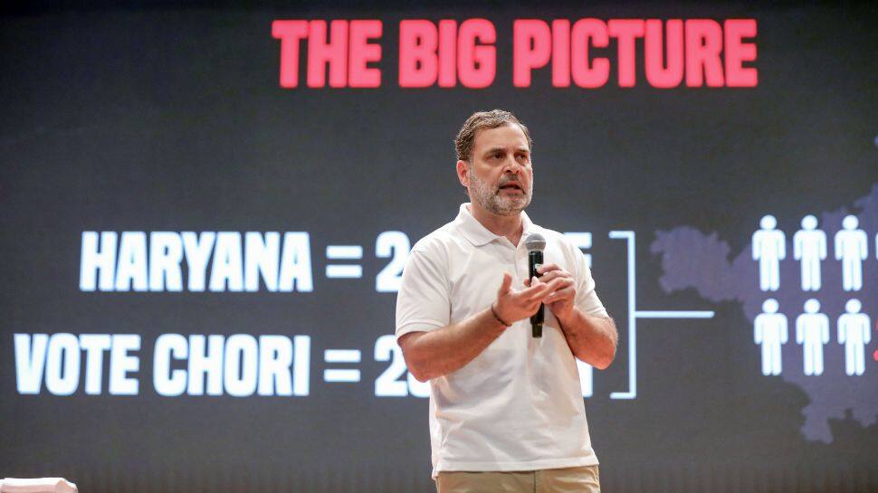 ‘Clueless And Desperate For Headlines’: BJP Hits Back At Rahul Gandhi`s `H Files` Presser