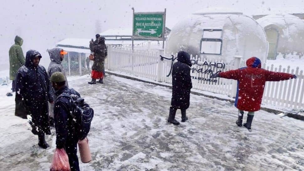 Fresh Snowfall Revives Tourism In Kashmir: Tourists Call It Safe, Magical, And Heaven On Earth