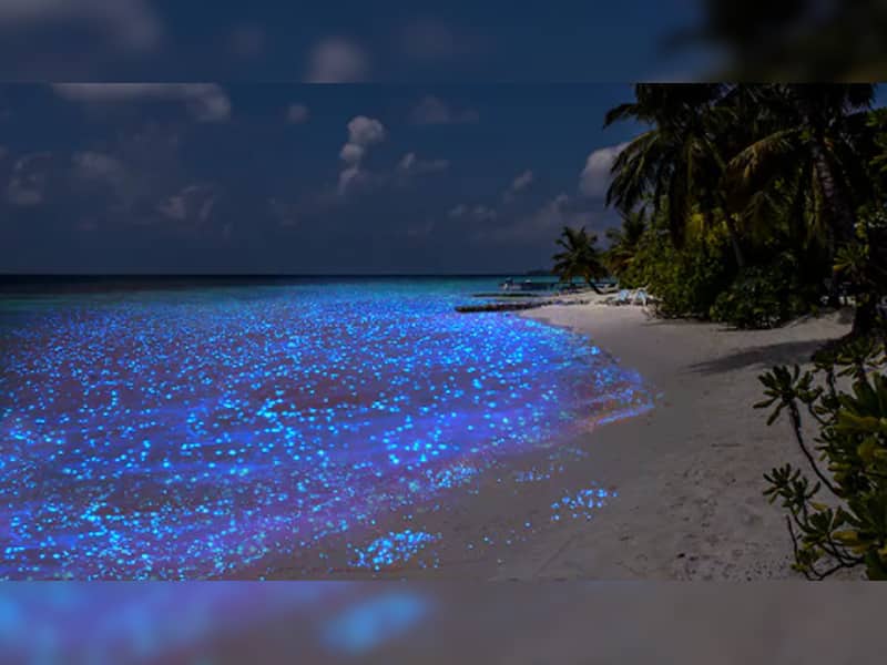 Shocking But True! 7 Unbelievable Things Which Exist In Nature The