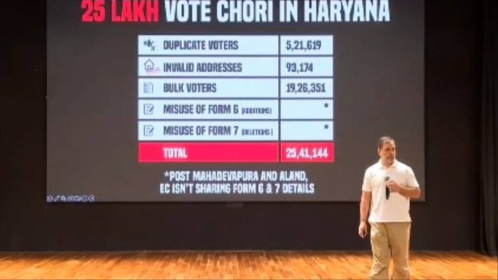 Haryana Voter Linked To Brazilian Influencer Larissa Listed On Electoral Roll Despite Passing In 2022