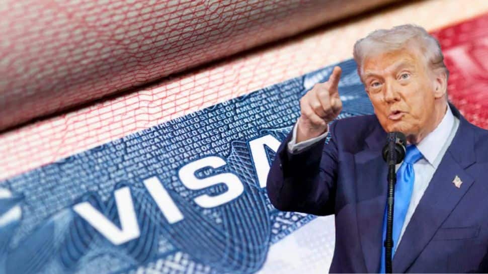 Trump Govt Revokes Around 80,000 U.S. Visas Since January, Says Report