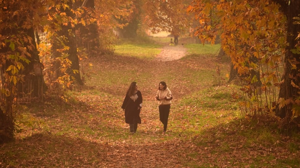 A Valley Painted In Crimson And Gold: Kashmir’s Autumn Is Pure Poetry Captivating Visitors