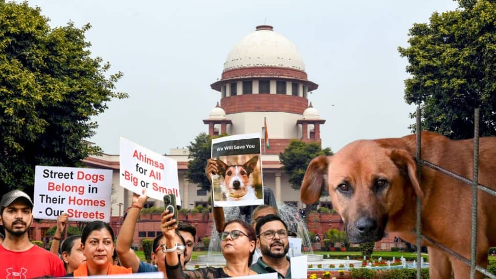 BREAKING | SC Mandates Clear Highways: Authorities Ordered To Remove Stray Animals From Expressways