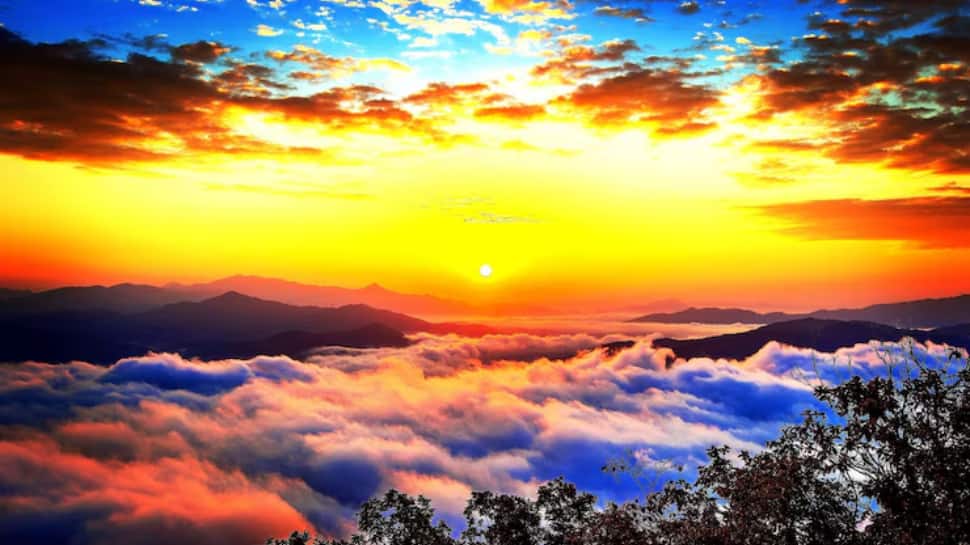 Morning Thought Of The Day For November 8, 2025: 10 Inspirational Quotes To Start Your Saturday With Positivity