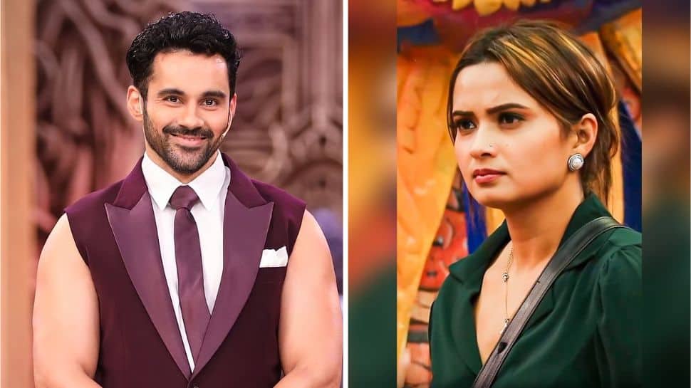 Bigg Boss 19: Abhishek Bajaj And Neelam Giri EVICTED From Salman Khan’s Show – Report