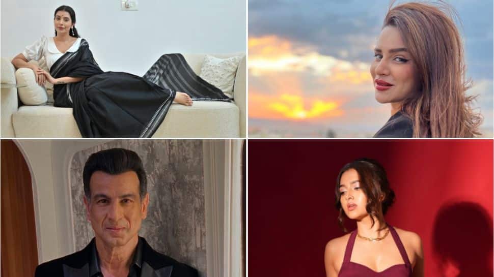 Entrepreneurs in the TV Industry