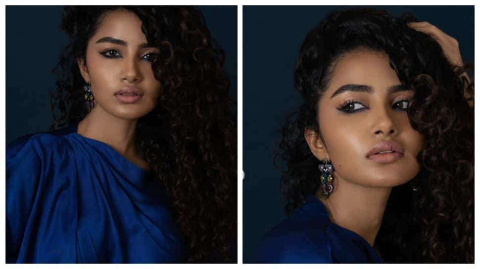 Anupama Parameswaran Takes Legal Action Against 20-Year-Old For Cyberbullying