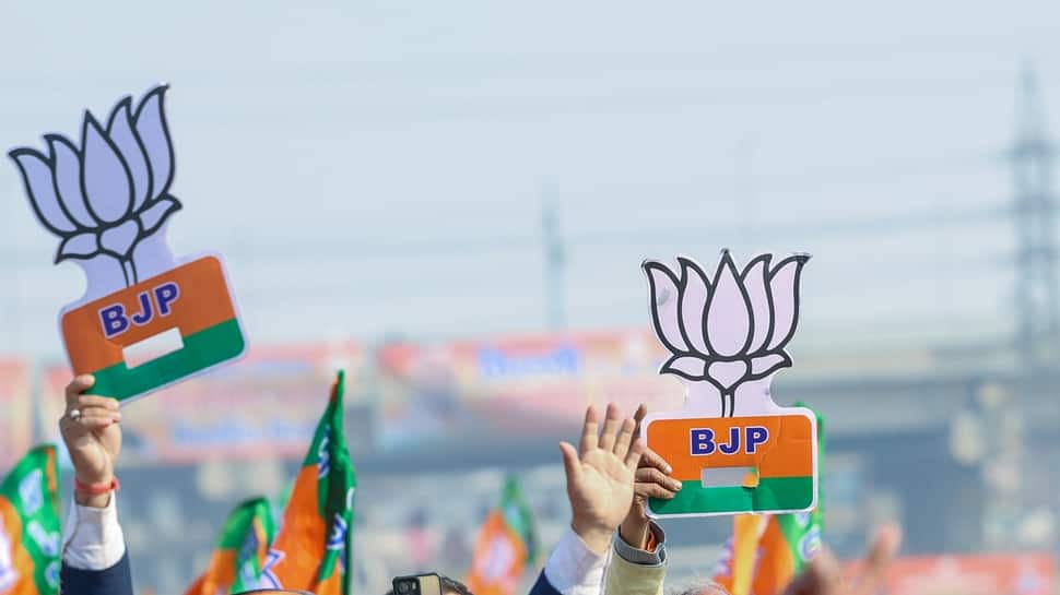 Bihar Election Results 2025: Full List Of Winning BJP Candidates And Their Constituencies