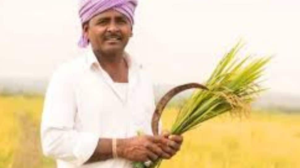 Farmer Registry to Create a Unified National Database