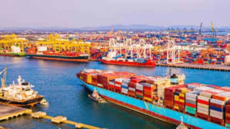 India May Gain Slight Edge As US Exempts Several Agri Products From Reciprocal Tariffs: GTRI Report