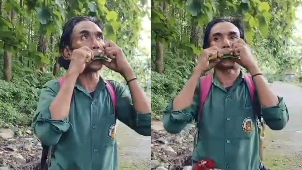 Viral: IFS Officer Shares Mesmerising Leaf-Whistle Video, Internet Is Amazed Viral: IFS Officer Shares Mesmerising Leaf-Whistle Video, Internet Is Amazed