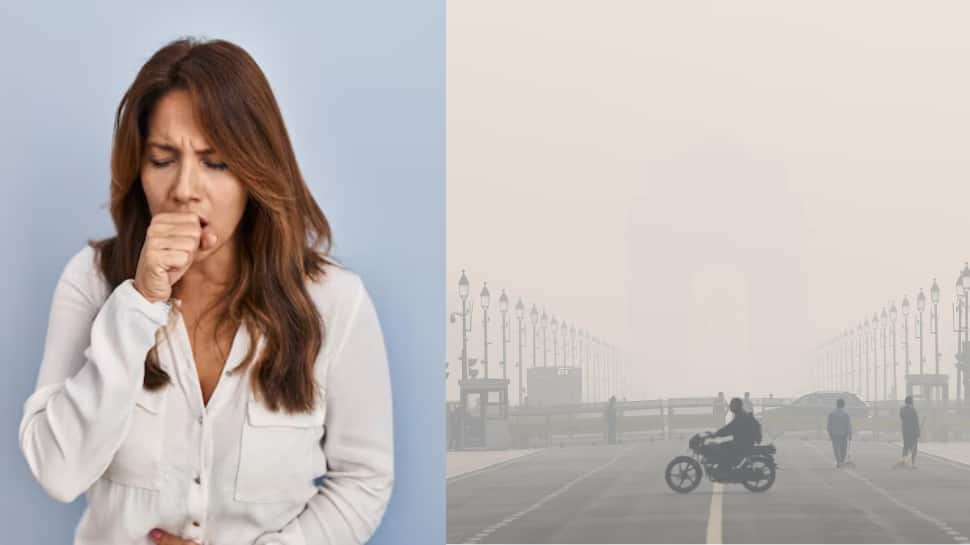 List Of 10 Diseases Caused By Air Pollution: How Toxic Air Affects Your Lungs, Heart, Brain, And Overall Health