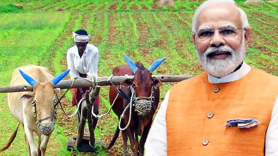 PM Kisan 22nd Instalment: When To Expect Next Rs 2,000 Payment; How To Check Your Name In The List