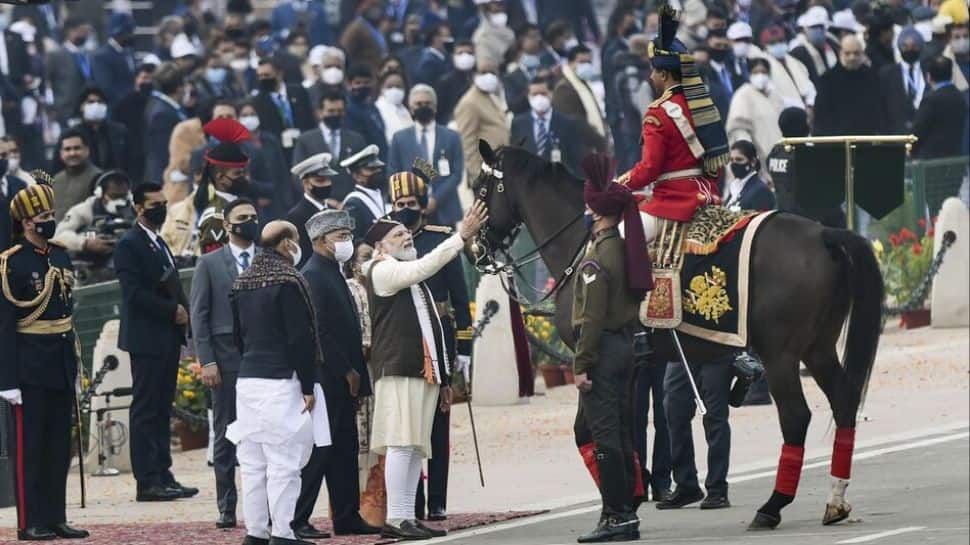 Symbols Of Power, Pride And Tradition: Meet Viraat And The Legendary Horses Guarding The President Of India