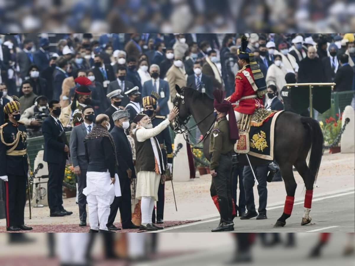 Symbols Of Power, Pride And Tradition: Meet Viraat And The Legendary Horses Guarding The President Of India
