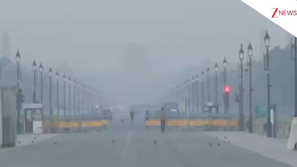 Delhi 7-Day Weather: IMD Warns Of Coldest Week With Sunny Days & Foggy Nights