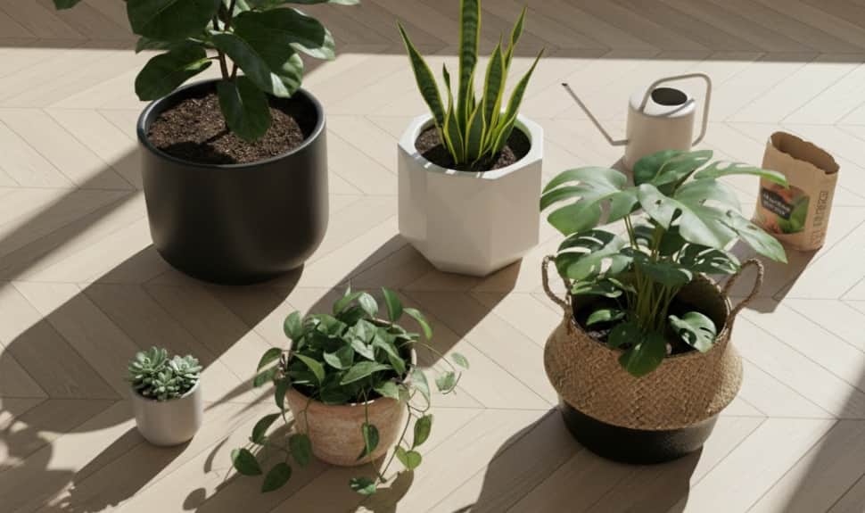  Planters to Transform Your Space with Style &amp; Simplicity!