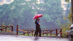 IMD Issues Alerts As Heavy Rain To Lash TN, Kerala- Check Full Forecast Here