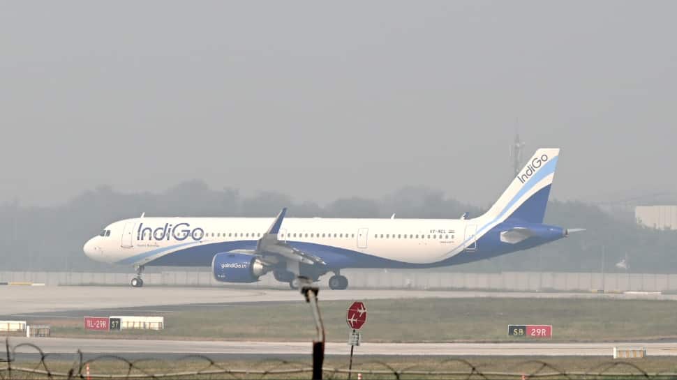 Delhi`s Weird Twilight: How A Volcano 4,000 km Away Is Painting The Capital`s Sky And Grounding Jets | EXPLAINED